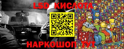 стаф Бузулук