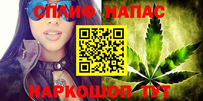 стаф Бузулук