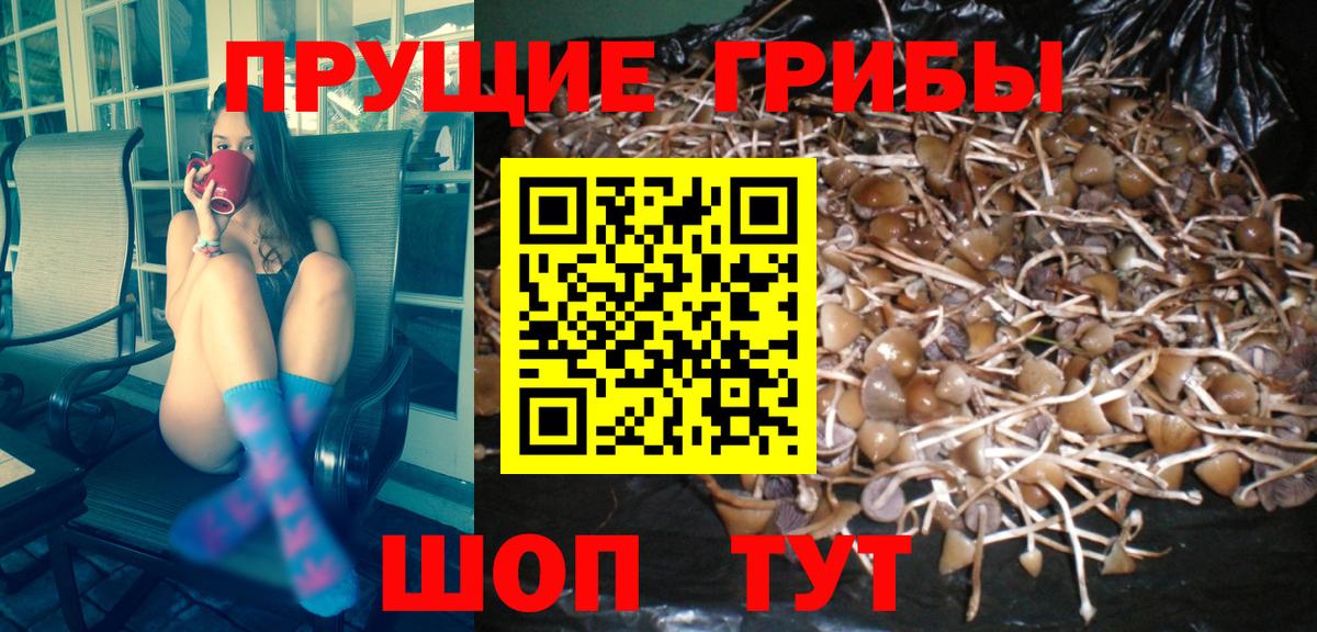 Галлюциногенные грибы мицелий  Галлюциногенные грибы ЛСД  Вход с VPN  Щёлково 