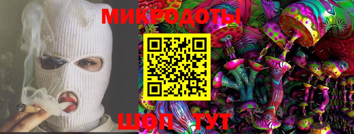 Псилоцибиновые грибы Psilocybe Щёлково